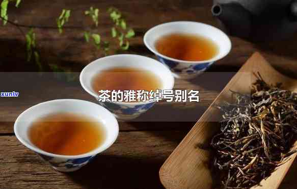 喝茶的雅称绰号别名有哪些，品味艺术：探析喝茶的雅称、绰号与别名