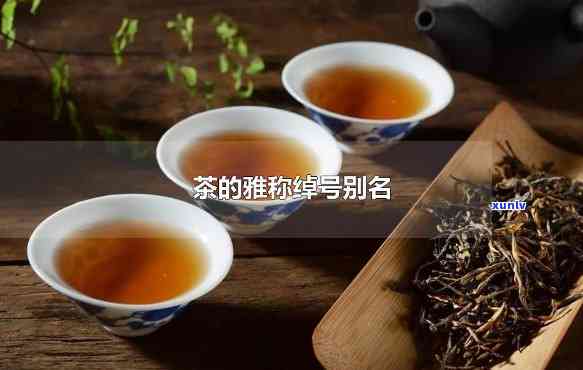 喝茶的雅称绰号别名-喝茶的雅称绰号别名有哪些