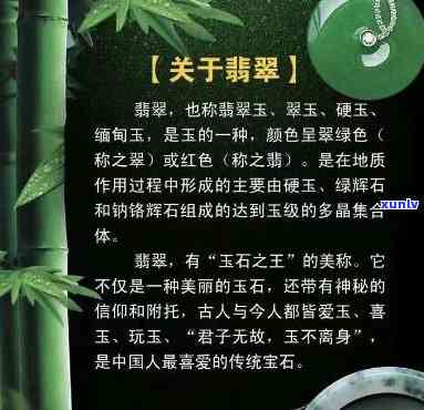 关于翡翠玉的文案，璀璨瑰宝：探索翡翠玉的世界