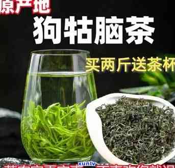 遂川狗牯脑茶的特点-遂川狗牯脑茶品质特点