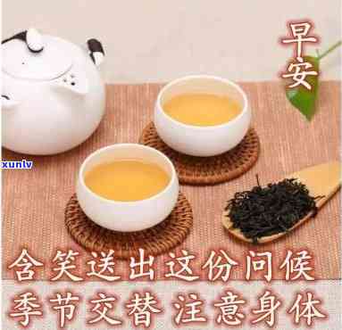 早晨关于茶的问候语，好一杯香浓的茶，早上好！