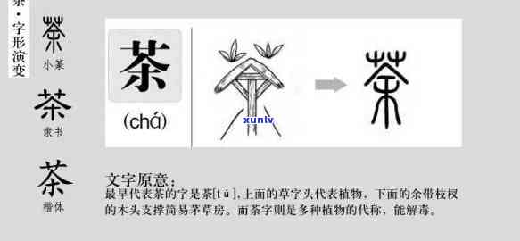 下列汉字不代表茶的-下列汉字不代表茶的是