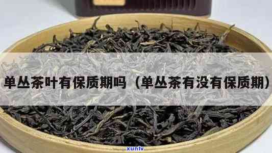 单丛茶保质期多久？了解其正常存时间