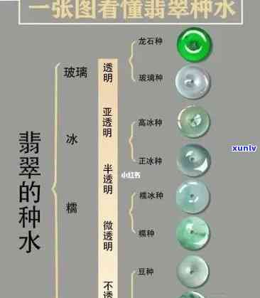 翡翠种水价格排名：全面揭晓前十名榜单