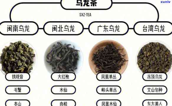 探索单丛茶的丰富香味种类及其特点，一图了解