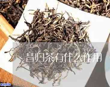 归昔茶的功效与作用是什么，探究归昔茶的神奇功效与作用