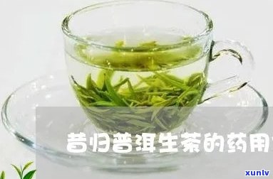 归昔茶的功效与作用-归昔茶的功效与作用及禁忌