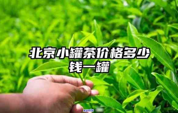 小罐茶的价格是多少？一斤、一杯分别多少钱？