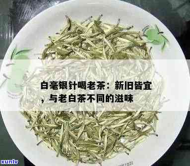 白毫银针老茶的滋味-白毫银针老茶的滋味和味道