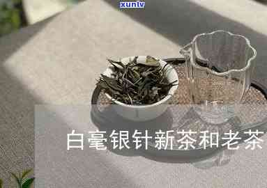 白毫银针老茶的滋味-白毫银针老茶的滋味和味道