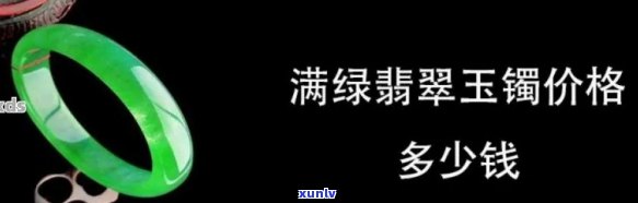 全绿翡翠玉镯图片及价格大全