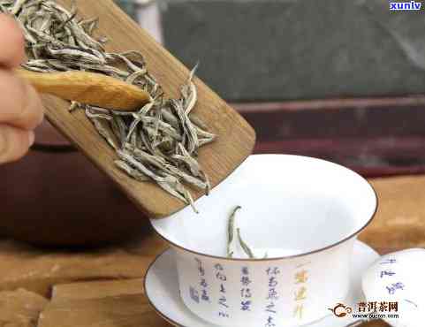 白毫银针新茶冲泡技巧：如何冲泡出喝的新茶？