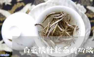 白毫银针新茶的功效-白毫银针新茶的功效与禁忌