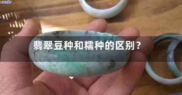 冰糯种翡翠豆子价格：冰糯种与豆种的区别及哪个更好？