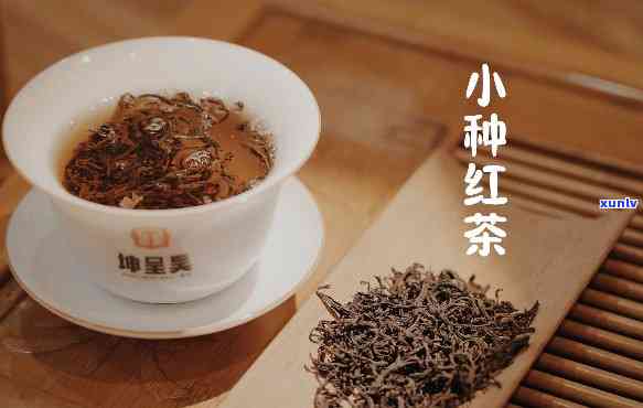 小种红茶的介绍：历、特点与文化