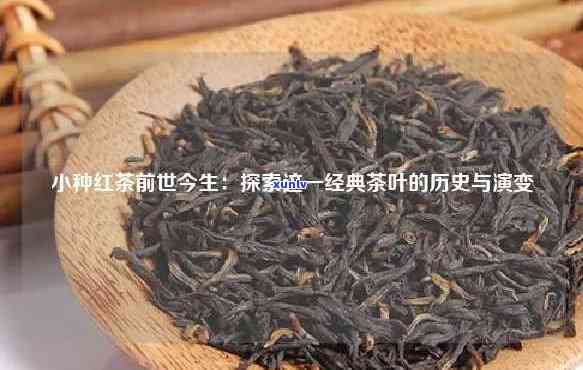 小种红茶的介绍：历、特点与文化