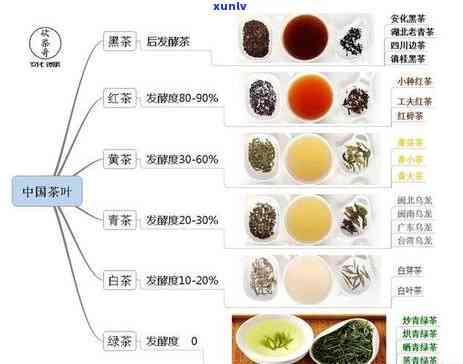 探索不同茶叶的口感：味道、特点与图片全解析