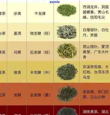 各种茶的特点与味道介绍：深度解析与精美图片