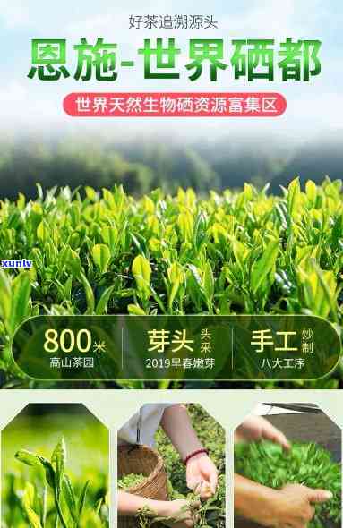 恩富硒茶250克多少钱，【湖北特产】恩富硒茶 250克装 纯天然有机恩玉露茶叶 特价促销！