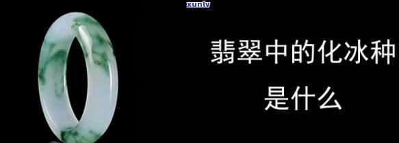 翡翠冰化种等级解析：什么是翡翠冰化种及其等级含义？