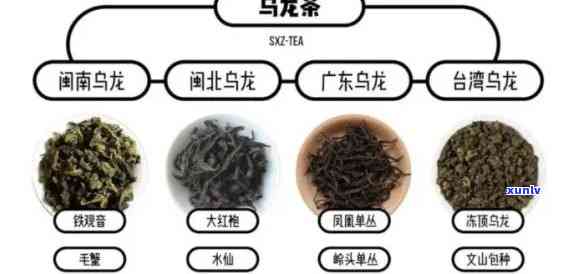 茶的分类品种及味道有哪些，探秘茶叶世界：各类品种及其独特口感的味道解析