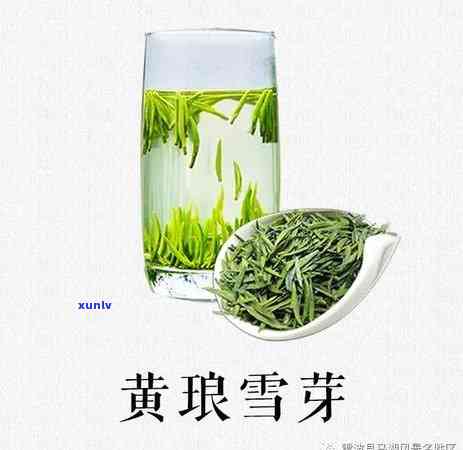 青茶的代表茶是什么茶，探寻青茶之魅力：代表茶种大揭秘！