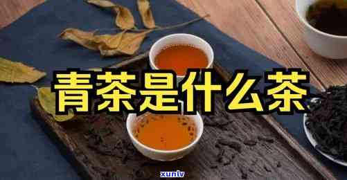 青茶的代表是什么茶-青茶的代表是什么茶叶