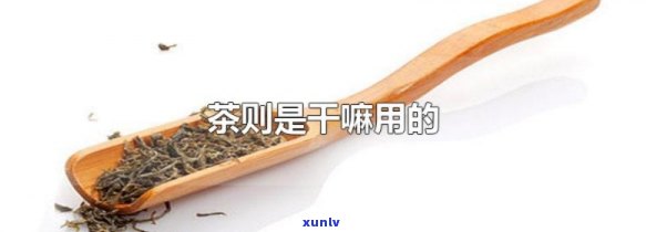 茶则是什么茶的用具-茶则是干什么用的