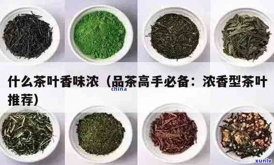 什么茶味道香浓，探秘茶叶世界：哪些茶叶的味道最香浓？