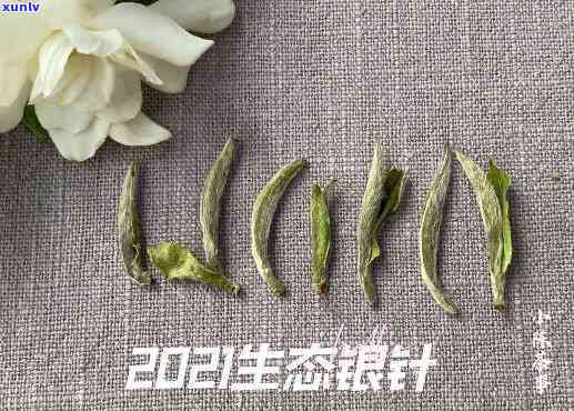 毫香是什么茶的香型特点，毫香：探究茶叶的一种独特香型特点