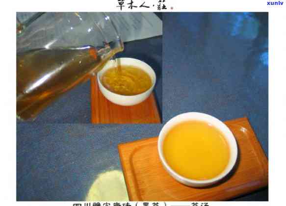 炒青是什么茶的工艺-炒青是什么茶叶