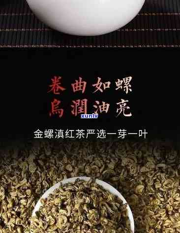 金螺茶，探索金螺茶的魅力：一种独特的茶叶体验