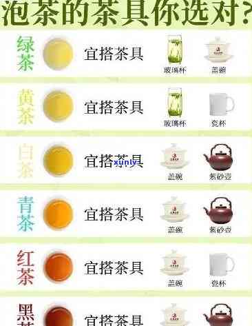 全面解析：茶的种类及泡茶 *** 