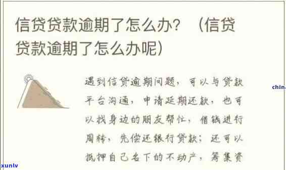 发自信贷款逾期怎么办，怎样解决发自信贷款的逾期疑问？