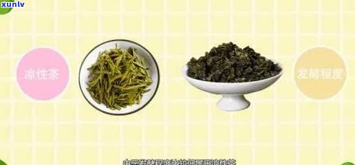 仲茶是寒性还是热性，解析仲茶的性质：它是寒性还是热性？