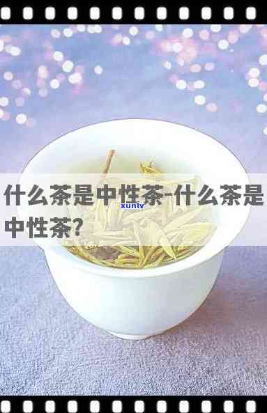 仲茶是寒性还是热性，解析仲茶的性质：它是寒性还是热性？