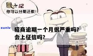 普洱茶的全方位描述：从产地、品种、口感到功效的详细解析