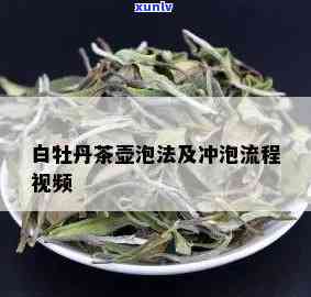 白牡丹茶的冲泡 *** 视频，学冲泡白牡丹茶的完美技巧！看视频教程！