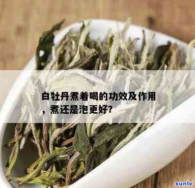 白牡丹煮着喝还是泡着喝，如何饮用白牡丹：煮着喝还是泡着喝？