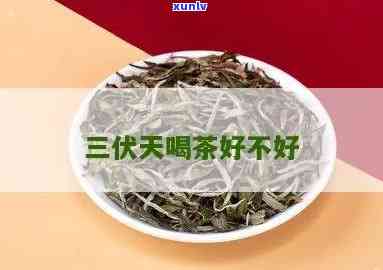 三伏天喝热茶的好处-三伏天喝热茶的好处和坏处