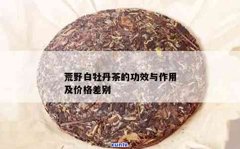 荒野白牡丹茶：功效、价格与高档定位全解析