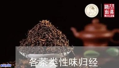 茶的性味归经与功效-各类茶性味归经