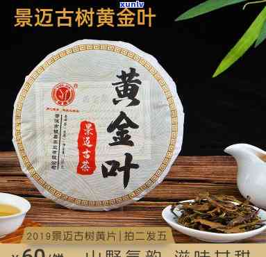 古树黄金叶茶的功效与禁忌，深度解析：古树黄金叶茶的功效与饮用禁忌