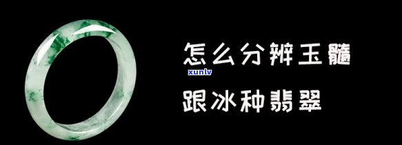 冰种玉髓手镯怎么样辨别真假，冰种玉髓手镯：如何辨别真假？