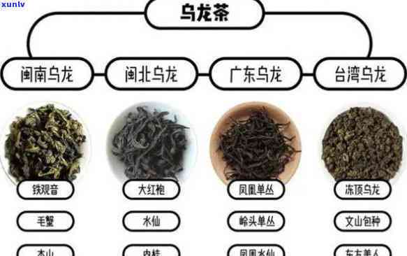 全面了解青茶：特点、功效与作用