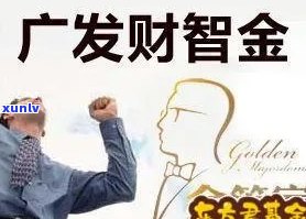 发财智金是否会上？如何查询？