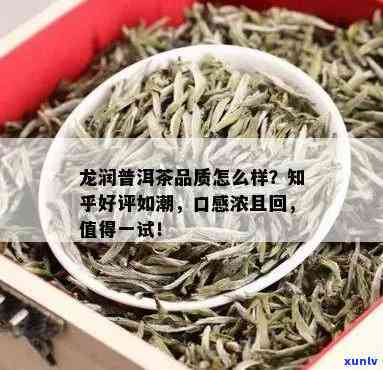 龙润茶怎么样？口感如何、质量怎样？