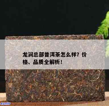 龙润茶怎么样？口感如何、质量怎样？