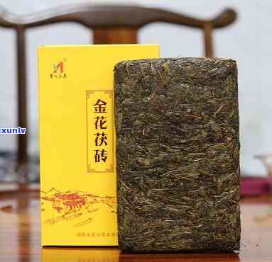 金花茯茶的主要功效是，揭示金花茯茶的神奇功效！