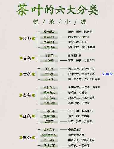 深入理解：茶的分类品种、功效与作用全解析